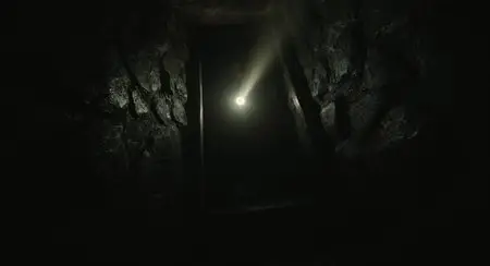 Haunter (2013)