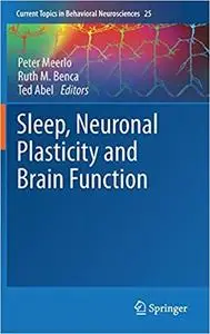 Sleep, Neuronal Plasticity and Brain Function