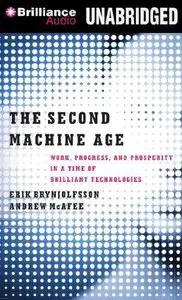 The Second Machine Age: Work, Progress, and Prosperity in a Time of Brilliant Technologies (Audiobook)