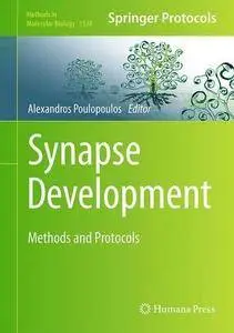 Synapse Development: Methods and Protocols (Methods in Molecular Biology)