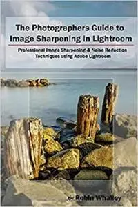 The Photographers Guide to Image Sharpening in Lightroom