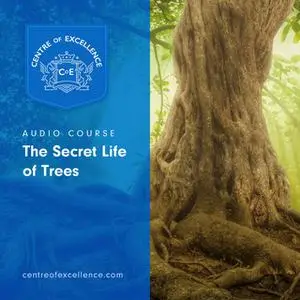 «The Secret Life of Trees» by Centre of Excellence