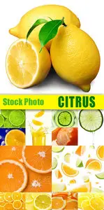 Stock Photo - Citrus