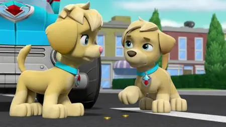 PAW Patrol S06E10