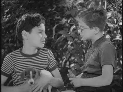 La vita ricomincia / Life Begins Anew (1945)