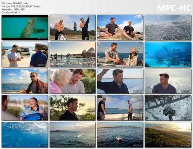 Shark Beach with Chris Hemsworth (2021)