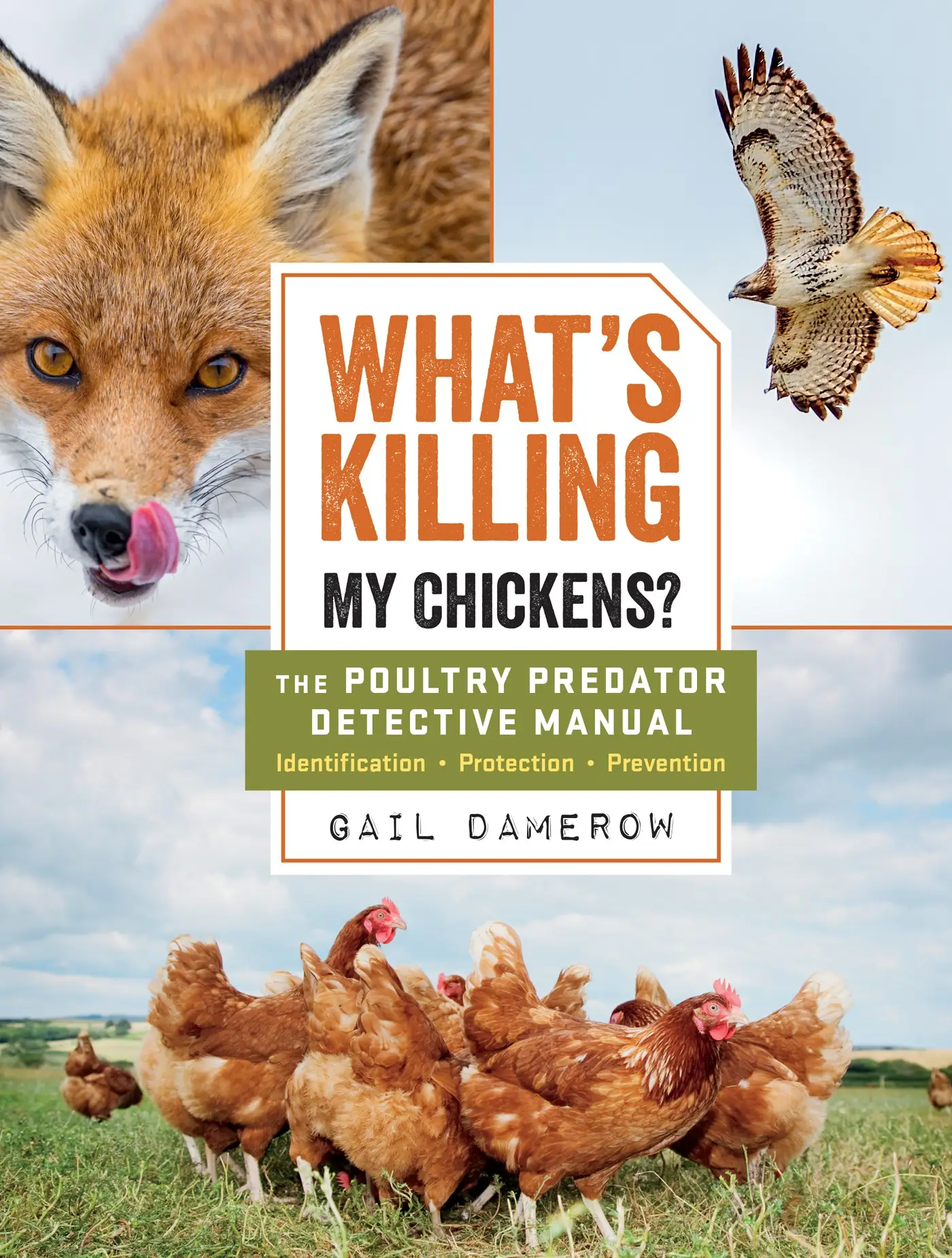 What's Killing My Chickens? The Poultry Predator Detective Manual