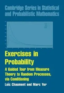 Exercises in Probability: A Guided Tour from Measure Theory to Random Processes, via Conditioning (repost)