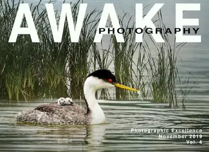 Awake Photography - November 2019