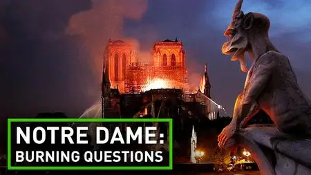 Notre Dame: Burning Questions (2020)