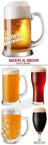 Beer 5
