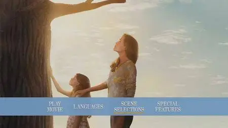 Miracles from Heaven (2016)