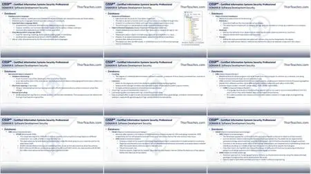 CISSP® Certification Domain 8: Software Development Security Video Boot Camp 2019