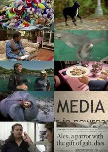 NOVA scienceNOW S05E04 How Smart are Animals? (2011)