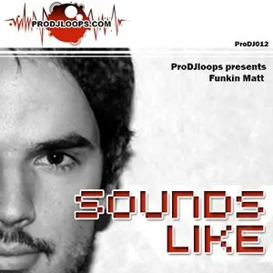 ProDJLoops - Sounds Like Funkin Matt (WAV)