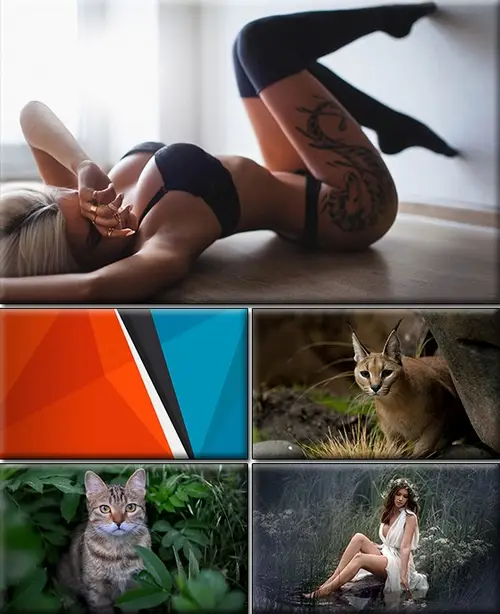 Computer Desktop Wallpapers Collection. Part (2217)