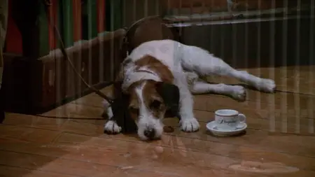 Frasier S04E12