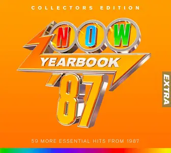 VA - NOW Yearbook Extra '87 (2024)