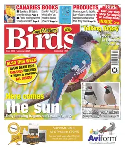 Cage & Aviary Birds - 9 January 2025