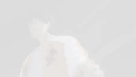 Wind Breaker - 10