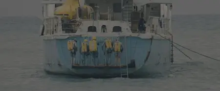 The Life Aquatic with Steve Zissou (2004)