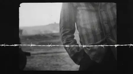 Belsen: What They Found (2025)