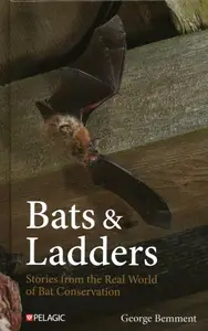 Bats & Ladders: Stories from the Real World of Bat Conservation