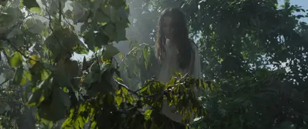 The Bayou (2025)