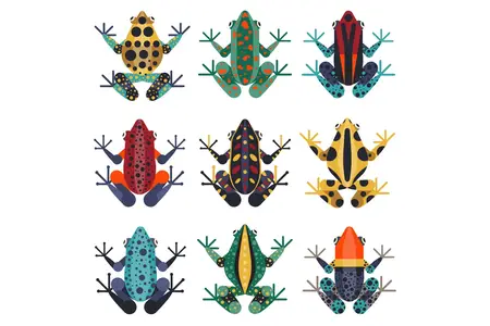 EE - Tropical Poison Dart Frogs Set in Flat Design JZJ67DH