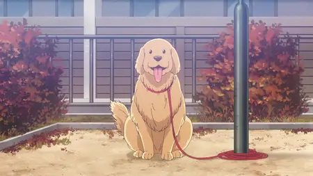 Aharen-san wa Hakarenai S02E06 Running Away From Home Huh