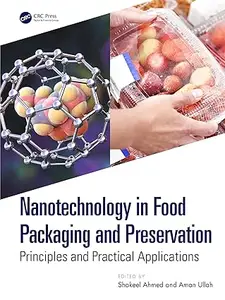 Nanotechnology in Food Packaging and Preservation: Principles and Practical Applications