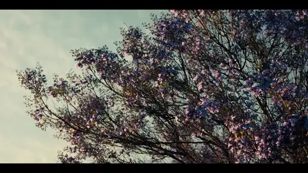 Nobody Wants This S02E08