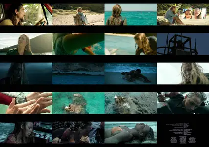 The Shallows (2016)