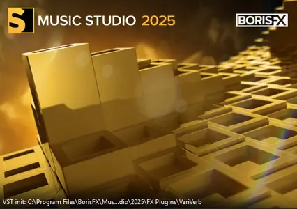 Boris FX Music Studio 2025.0.1.25261 (x64) Multilingual