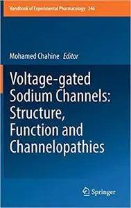 Voltage-gated Sodium Channels: Structure, Function and Channelopathies