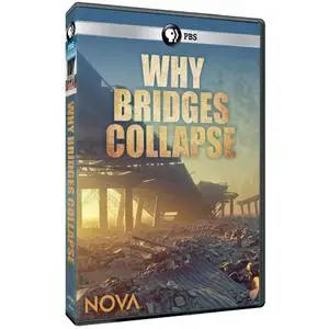 PBS Nova - Why Bridges Collapse (2019)