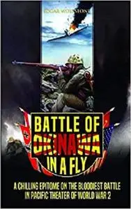 Battle of Okinawa, in a Fly