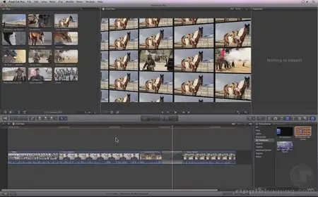 Motion 5: Rigging & Publishing Titles, Transitions, Effects & Generators for Final Cut Pro X [repost]