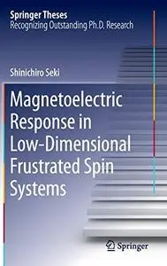 Magnetoelectric Response in Low-Dimensional Frustrated Spin Systems
