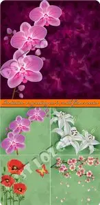 Invitation or greeting card with flower vector