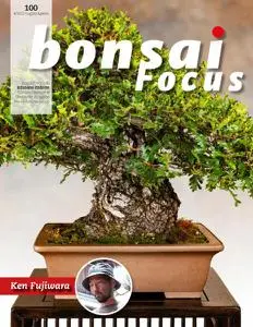 Bonsai Focus (Edizione Italiana) N.100 - Luglio-Agosto 2022