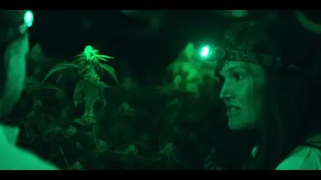 The Business of Drugs S01E05