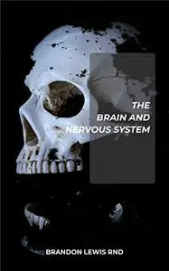 THE BRAIN AND NERVOUS SYSTEM: An Essential Guide On How Brain Works And Other Sense Organs