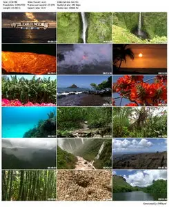 Hawaii: an Island Symphony (2010)