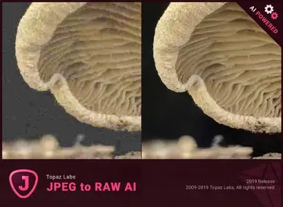 Topaz JPEG to RAW AI 2.1.3t (x64)
