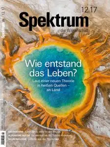 Spektrum der Wissenschaft – 18 November 2017