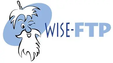 WISE-FTP 6.1.2 Portable 