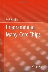 Programming Many-Core Chips