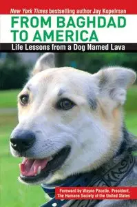 From Baghdad to America: Life Lessons from a Dog Named Lava [Repost]