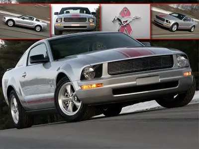 Wallpapers - Ford Mustang Warriors In Pink (2009)